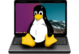 notebook linux