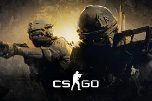 Finding the right notebook for CS:GO