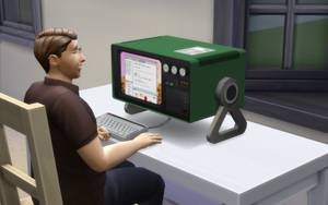 sims computer